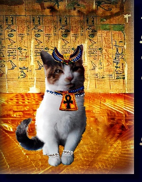 BAST CAT GODDESS OF EGYPT