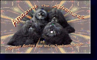 AMAZING ADVENTURES BOOK PORTAL
